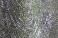 Lower Shuckburgh fibreglass roof work